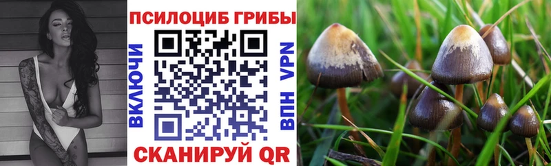 Галлюциногенные грибы Magic Shrooms  Купить закладки  Ртищево 